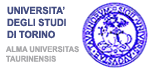 External link to the University of Torino website