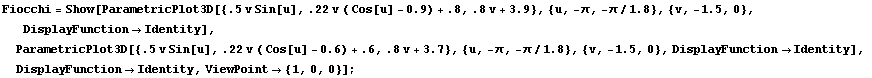 RowBox[{RowBox[{Fiocchi, =, RowBox[{Show, [, RowBox[{RowBox[{ParametricPlot3D, [, RowBox[{RowB ... ], ]}], ,, , DisplayFunctionIdentity, ,, ViewPoint {1, 0, 0}}], ]}]}], ;}]